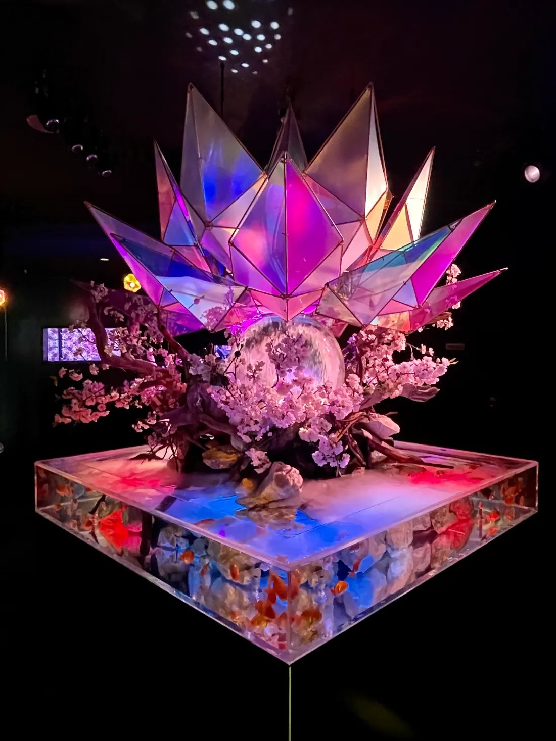 🐠 나라 금붕어 박물관 (나라 킹교 뮤지엄) 이미지 9